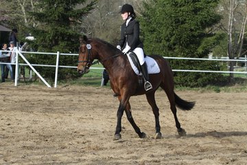 Bild 1532 - WBO-Turnier am 9.4.11